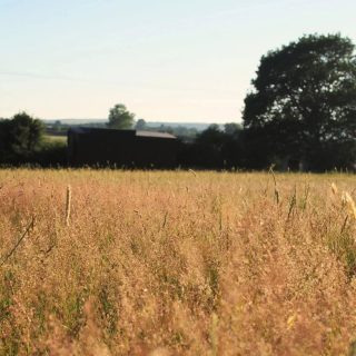 H A Z Y  S U M M E R  D A Y S

Golden light. That slow, dreamy kind of summer magic 💫

The views, the feeling of the day winding down at dusk...it's truly special. Evenings are our most popular time for a reason.

Wind down your summer evenings at FOLDE + SONDER. Spots are filling up, book your treatment now and let the warmth of nature soothe you. 🧡

Warmly, Liv 

Link in Bio 👆
Find me @thesussexshala

#summerdays☀️ #massage #holisticwellness #eastsussex #southdowns #timetogether #wellness #wellnessinnature #studiolife #dusk