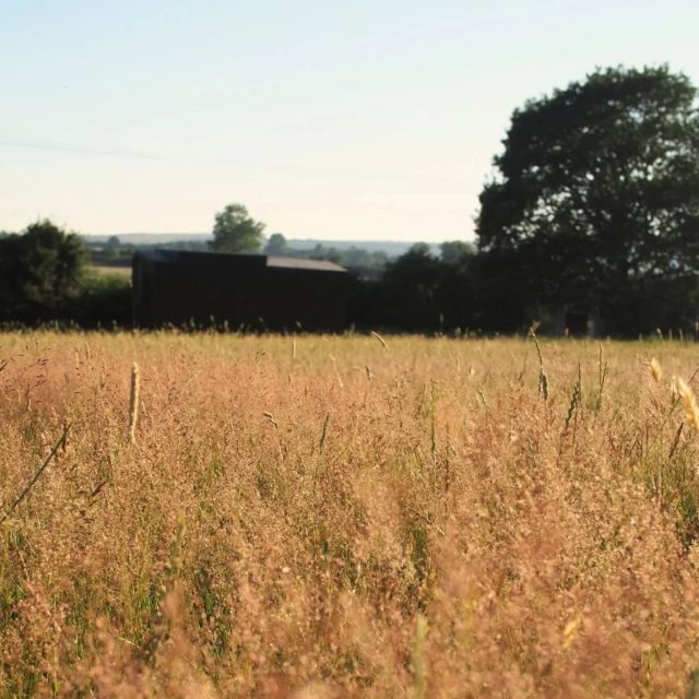 H A Z Y  S U M M E R  D A Y S

Golden light. That slow, dreamy kind of summer magic 💫

The views, the feeling of the day winding down at dusk...it's truly special. Evenings are our most popular time for a reason.

Wind down your summer evenings at FOLDE + SONDER. Spots are filling up, book your treatment now and let the warmth of nature soothe you. 🧡

Warmly, Liv 

Link in Bio 👆
Find me @thesussexshala

#summerdays☀️ #massage #holisticwellness #eastsussex #southdowns #timetogether #wellness #wellnessinnature #studiolife #dusk