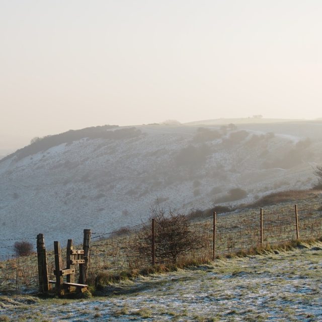 C O L D  wintry days that make me want to hibernate ❄️
.....but Sussex always finds a way to pull me outside. Quiet, crisp, and effortlessly beautiful 🤍
.
.
.
📷 @here.and.elsewhere_

#sussex #sussexdowns #nature #winter