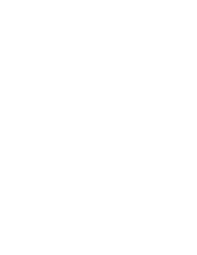 LOGO-FIN white